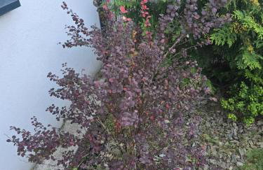 Apartament Nad Nielbą 6Bm2 z ogrodem - Foto 28