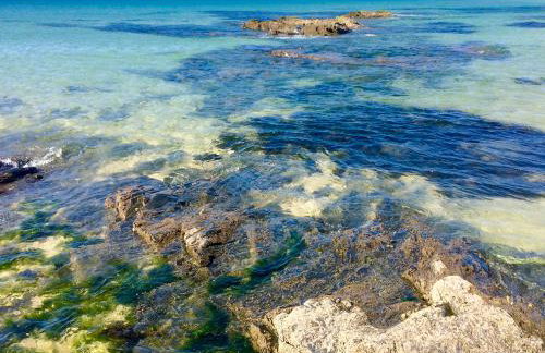 The Stable - Foto 23