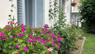 La Casa di Rena - Foto 4, Garden