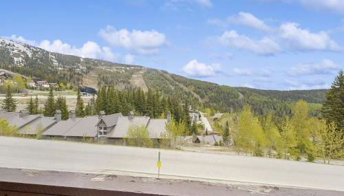 Red Cricket 22 - Foto 2