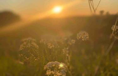 Beach house close to sandy beach - Foto 31