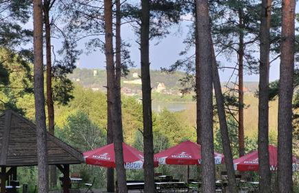 Willa Wellness - Foto 9