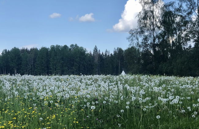 Charming 1-bed Studio in Avesta - Foto 25