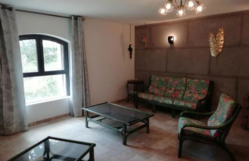 Domaine de la Vidalle - Foto 31