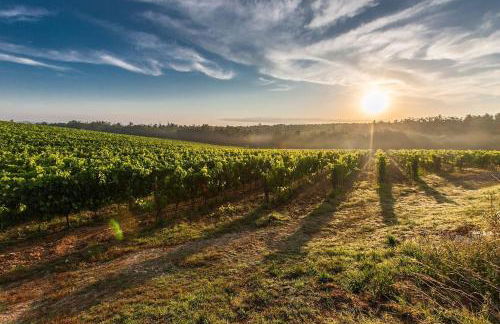 Appartement neuf en plein cœur de la Bastide - Foto 14