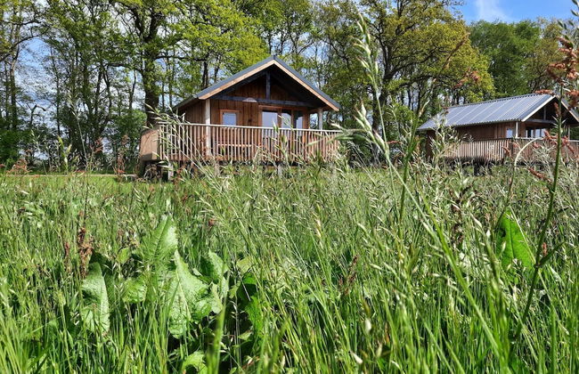 Atmospheric Lodge With Unobstructed View, Located in Beautiful Drenthe - Photo 58