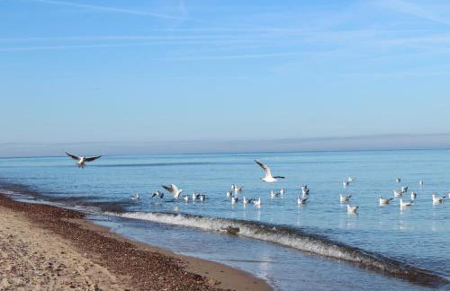 Apartament Mariva B106 z balkonem - Pobierowo - przy samym morzu - obiekt Euronia - Foto 29