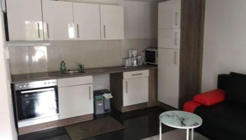 Appartement Somptueux a Unterheinriet - Foto 4, stove