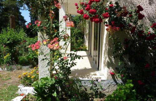 Petros Studios - Foto 27