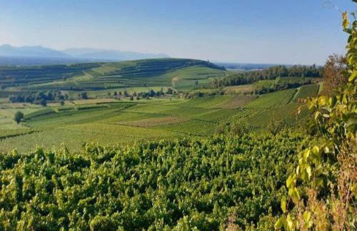 Holiday Apartment Monet in Oberrotweil - Foto 68