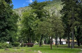 Am Wäldchen - Foto 12