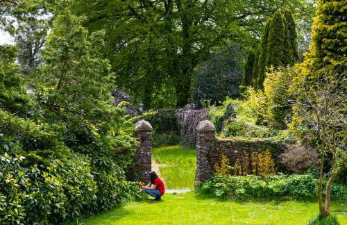 Swansea Valley Holiday Cottages - Foto 120