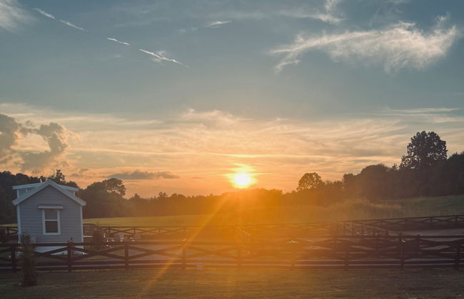 Circle T Mini Farms - Foto 19