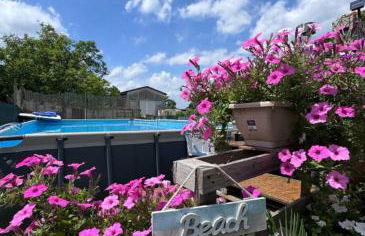 Pineta Apartment with Exclusive Pool - Foto 21