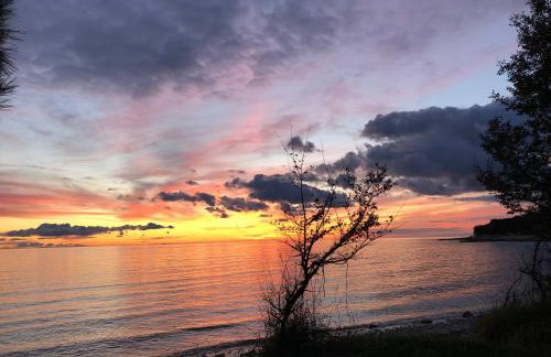 App Sorgo - Photo 67