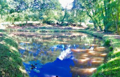 Blackdown Views - New 6 Bedroom Eco House - Foto 30