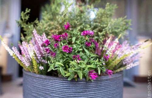 FeWo/GZ Hannelore Müller - Foto 4