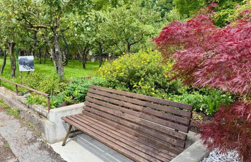 Ca' Domani - Appartamento immerso nel Cadore - Photo 22