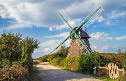 Sleep Space 02 - Green Tiny Spot Geltinger Bucht - Foto 21