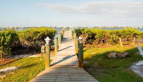 The Starfish - Foto 5