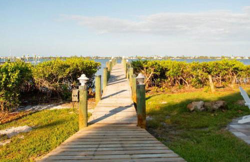 The Starfish - Foto 5