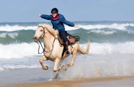 LA BADINE Accés direct à la plage clim balnéo piscine - Foto 39