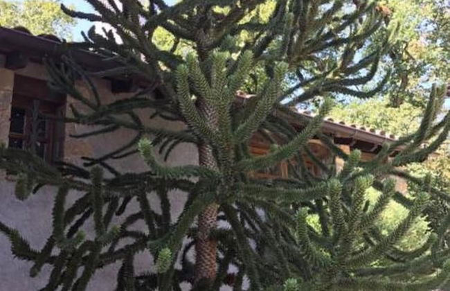 Casa Can Boix - Foto 28