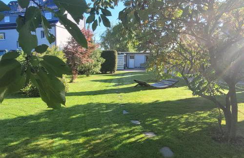 Anni's Waldblick - Foto 1