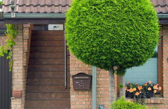 Schöner Blick - Foto 1