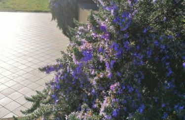 Eremo dei Poeti Albergo diffuso - Foto 23