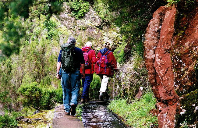 Madeira Lagos e Fontes Rabacal - Foto 6