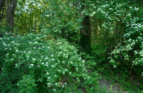 Villa di Piera - Foto 63