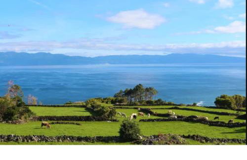 FISH HOUSE 1 - Photo 23