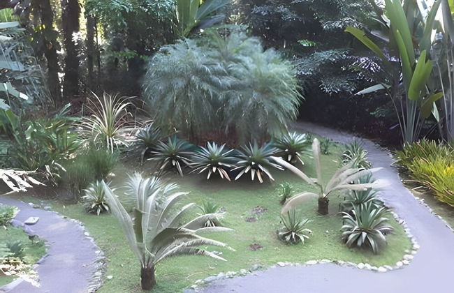 Casa Naranja - Photo 23