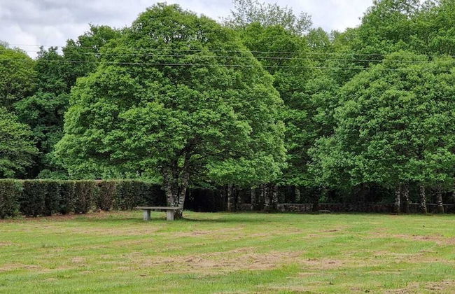 Finca La Cuevona de Guitiriz - Foto 59