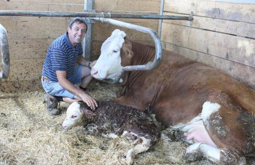 Beikircherhof - Photo 35