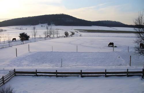 Forsthaus Castell - Foto 11