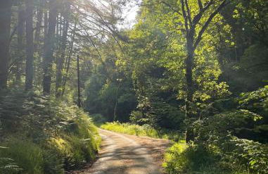 Bear Cottage, Tyn Y Cwm - Foto 23