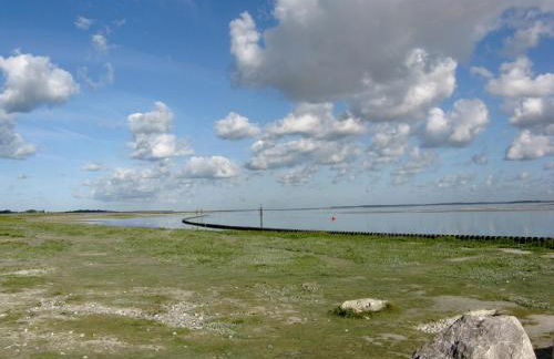 Gites aux oiseaux - Foto 29