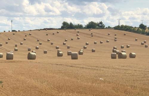 Ferienhaus Constanze Mücheln am Geiseltalsee für bis zu 6 Personen, Terrasse, Garage - Foto 15