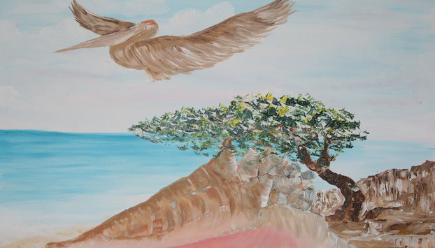 BnBBonaire - Photo 5, Room