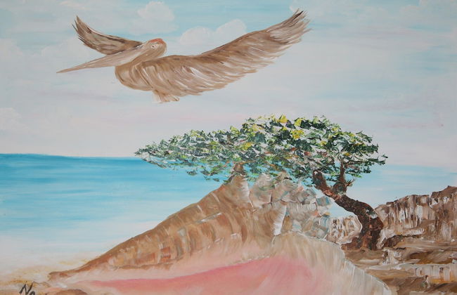 BnBBonaire - Foto 13