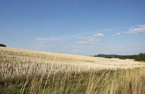 Ferienwohnung Kaim - Foto 22