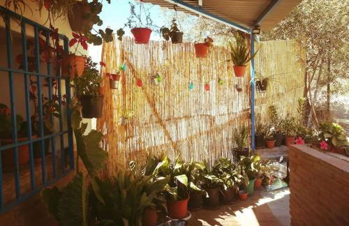 Estudio Rural Casa Aguila 2.0 - Foto 11