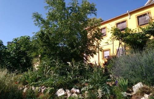 Cortijo de la Cruz - Foto 40