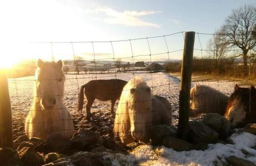Wales' Highest Village - The Chartist Cottage - Trefil - Photo 21