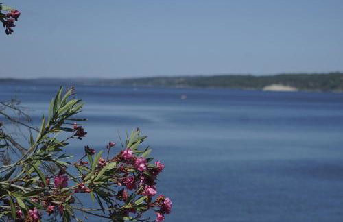 Casa da Avó Ana - Montargil - Foto 8