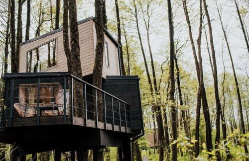 Dziki Las - domki na drzewach - Foto 27