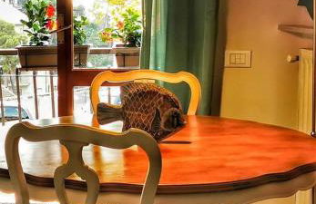 Rosablu vacanza tra mare e Parco di Portofino - Foto 54