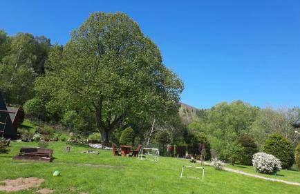 Domki pod Lipą. - Foto 55